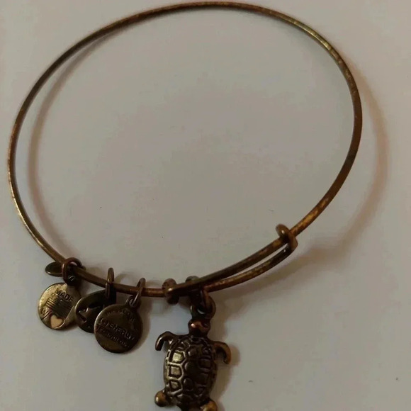 Alex and Ani Turtle Expandable Wire Bangle Bracelet Rafaelian Gold - Picture 3 of 3